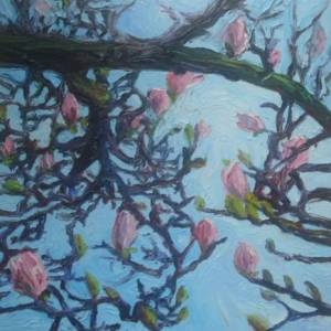 Magnolia Inet version